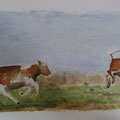 2010. Koeien voor 't eerst weer naar buiten 30x50 