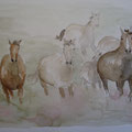 2013. Paarden in galop 40x50  