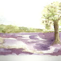 2011.Op de Heide 18x24