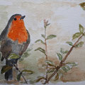 2022.Roodborstje 16x24 