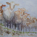 2012. Koeien (2) 30x30 
