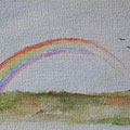 2020.Regenboog 9.5x14