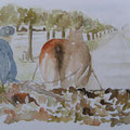 2012. En maar kijken naar...(naar foto van Willem 61) 30x30 