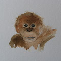 2012. M'naapje uit Canada 10x10