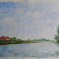 2010. De Biesbosch  30x40