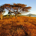 Cape Melville