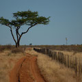 In der Kalahari