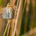 Foto: Dietrich Weller