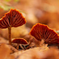 Foto: Uwe Schmietainski