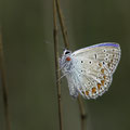 Foto: Elke Ordrich-Liebthal
