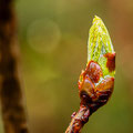 Foto: Dietrich Weller