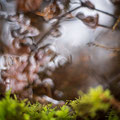 Foto: Peter Liebthal