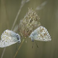 Foto: Elke Ordrich-Liebthal