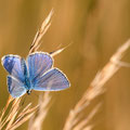 Foto: Dietrich Weller