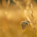 Foto: Uwe Schmietainski