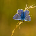 Foto: Uwe Schmietainski