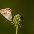 Foto: Dietrich Weller