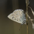 Foto: Elke Ordrich-Liebthal