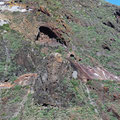 Cenobio de Valerón - Blick von der andern Talseite auf die Höhlen am Berg.