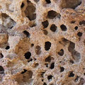 Tuffstein am Höhleneingang - Die Öffnungen sind nur wenige cm groß, trotzdem hat man den Eindruck - wie im Kleinen so im Großen