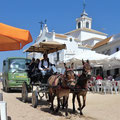 El Rocio - Touristenbeförderung 4x4. Auf die althergebrachte oder die moderne Art.