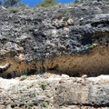 Geier im Landeanflug - solche großen Nischen im Felsen sind beliebte Rast- und Nistplätze.