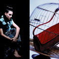 CATALOGUE 21