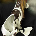 Hundefigur aus Keramik, vor ...