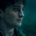 Harry Potter (Daniel Radcliffe) dans la forêt interdite