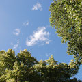 Launceston - Blick von meinem Traum-Platz in den Himmel