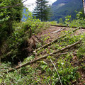 Strecke freischneiden auf Höhe Laurenzi