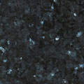 Labrador Oscuro