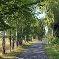 Direkt vom Haus aus schon auf der Strandstraße wandern: 