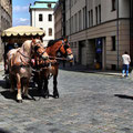 Pferdekutschen-Stadtrundfahrt