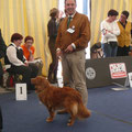 Worlddogshow 2012 - Baki wurde weltbeste Veteranin bei den Tollerhündinnen