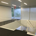 New Puma Caribbean Headquarters; (Arquitectural Work Finishes) including Lindner Metal Ceilings
