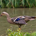 Entengymnastik  -Oktober13-