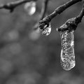 Eistropfen -Febr.13-