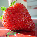 simoner Digitales Fotografieren: Makro / Mikro: Erdbeere ins rechte Licht gerückt