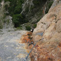 Blick zum Stand nach der Verschneidung