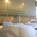 雪！積もったよ！札幌！