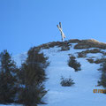 Löffelspitze