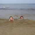 Zwei Wasserratten