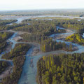 蛇行する原始の姿を見せる川と手付かずの原生林が続くアラスカの大地