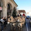 Promenade en calèche offerte par le Marché de Noël