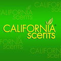 California Scents geurpotje Luchtverfrisser