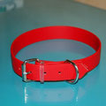einfaches Halsband mit Rollschnalle in rot