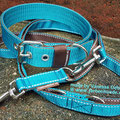 Powerful Collar - 40mm, petrol-braun mit passender Leine in 25mm, 2,20m, 3-fach verstellbar