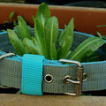 Powerful Collar in 30mm, silber-türkis