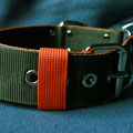 Powerful Collar in 50mm, Zugstopp, oliv-orange